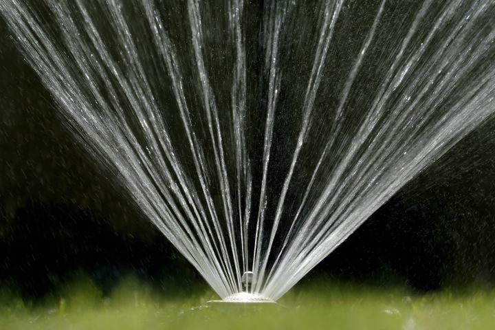 Калгарци които поливат тревните си площи могат да очакват да