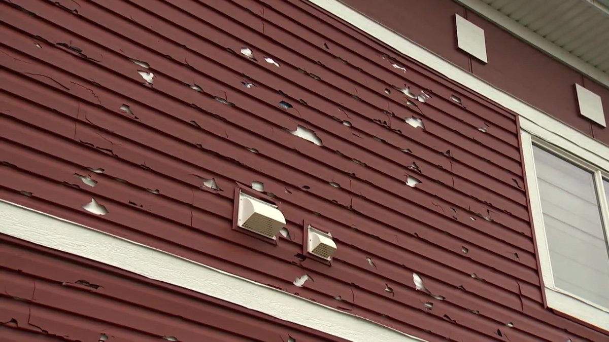 Houses in the northwest Calgary community of Livingston sustained significant damage from a hailstorm on Monday, Aug. 5, 2024.