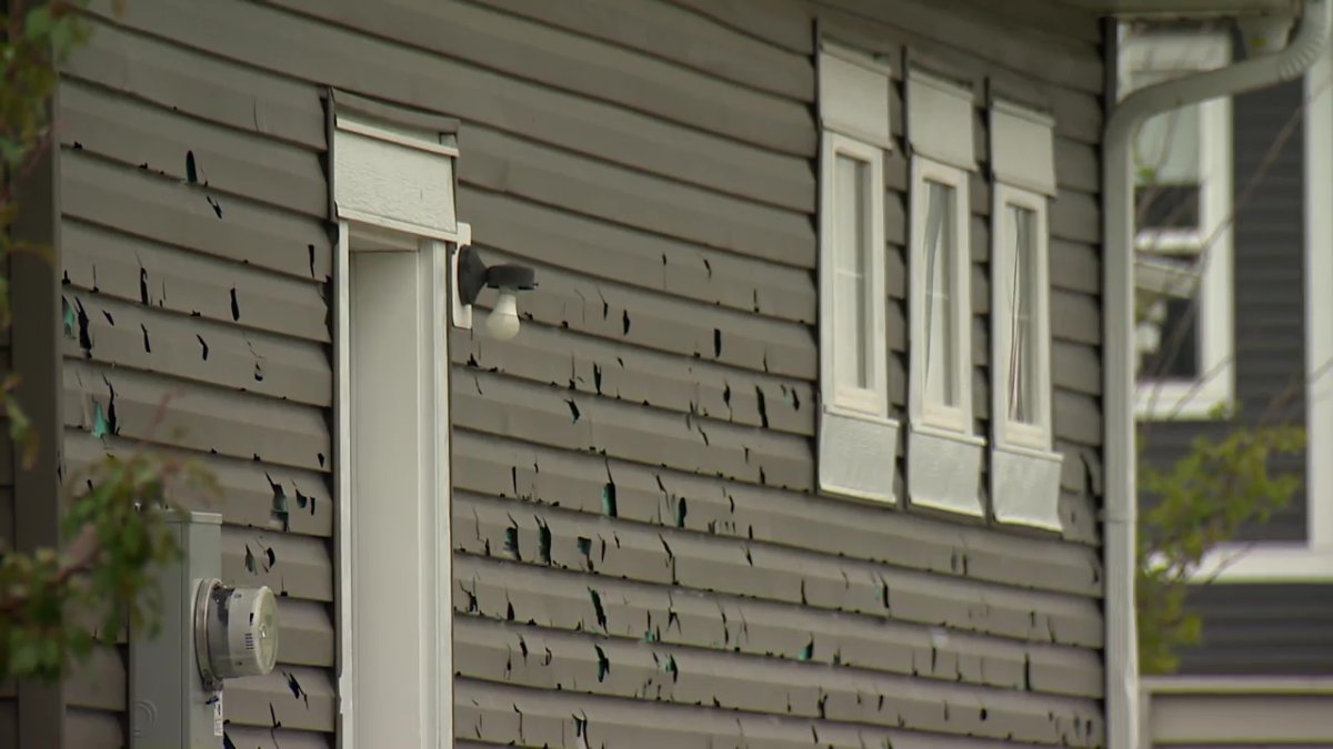 Houses in the northwest Calgary community of Livingston sustained significant damage from a hailstorm on Monday, Aug. 5, 2024.