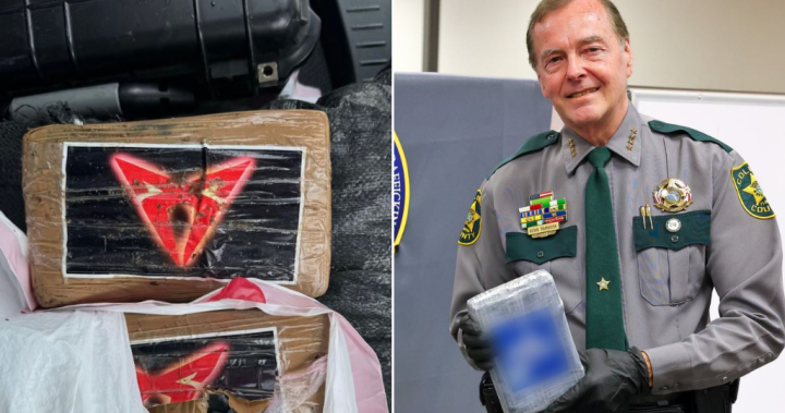 Все повече и повече кокаин продължава да се появява по