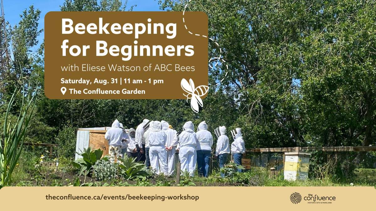 Beekeeping for Beginners at The Confluence - image