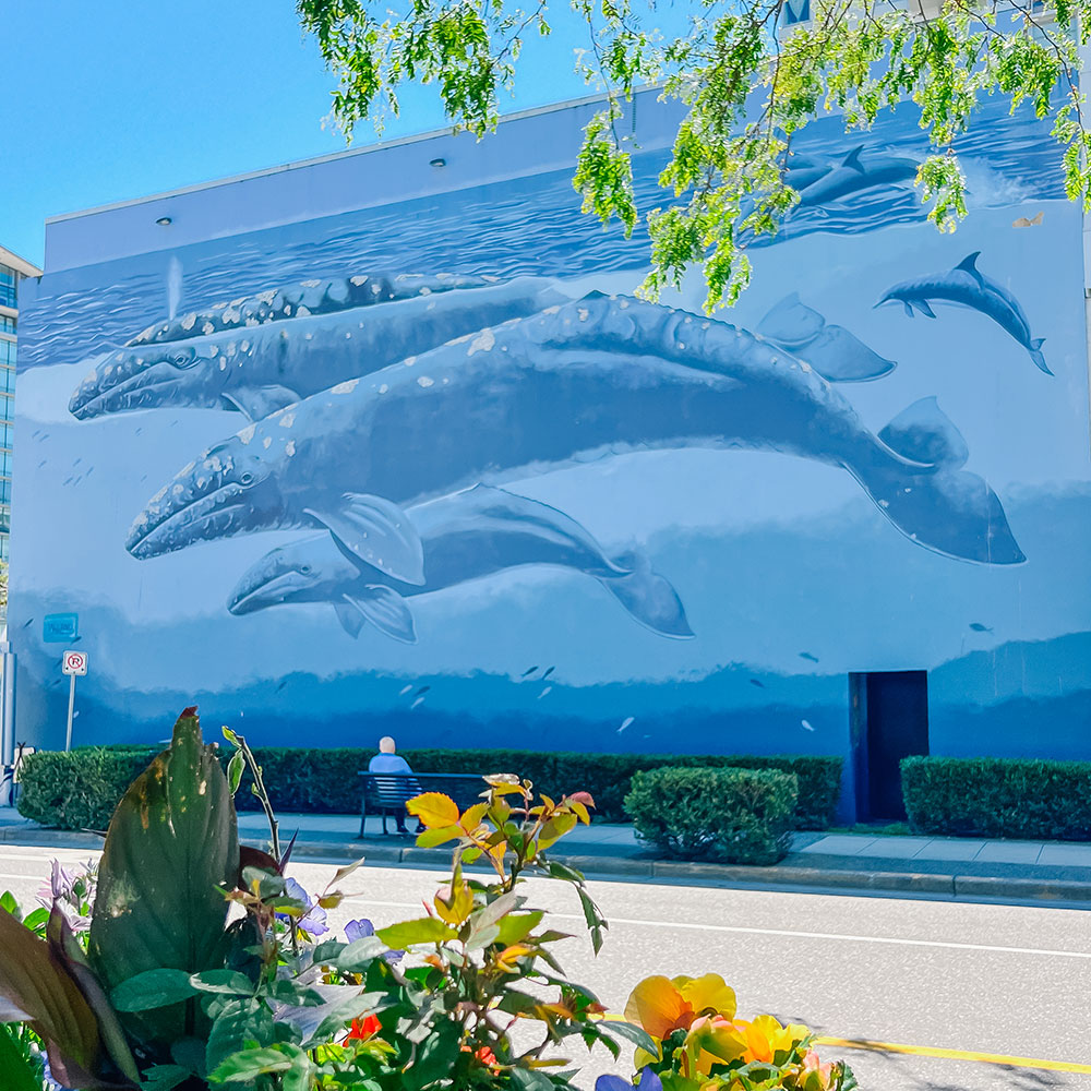 Whale Wall 40th Anniversary in White Rock - image