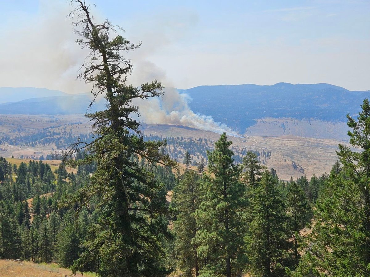 This is a view from the Sunset Ridge Road fire, which is burning around four km south of the Canada-U.S. border.