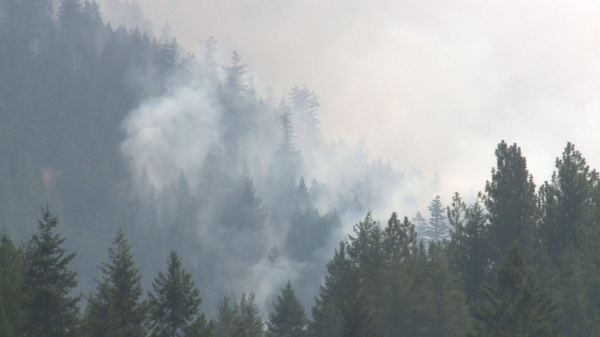 Последните гръмотевични бури предизвикаха много нови горски пожари около региона