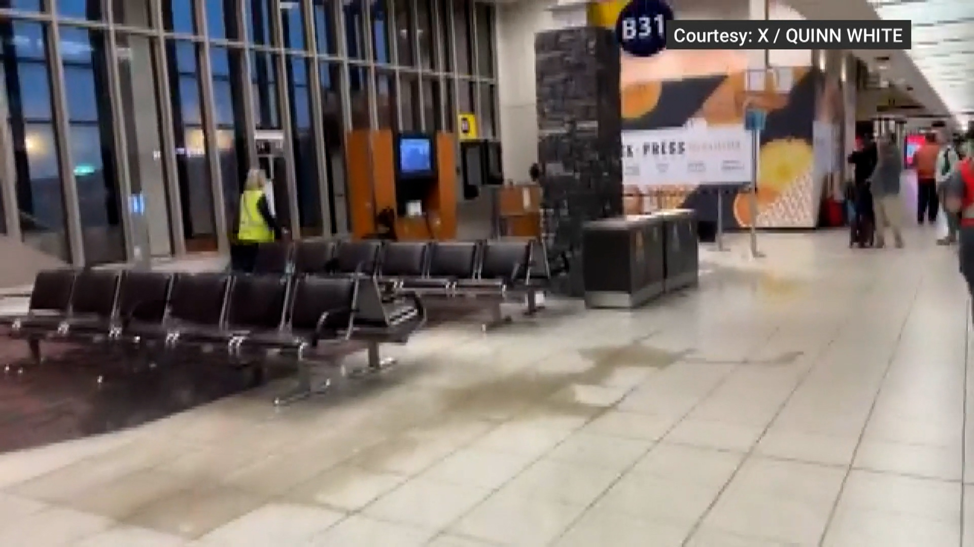 Градушката ехтеше из терминала докато Куин Уайт си проправяше път