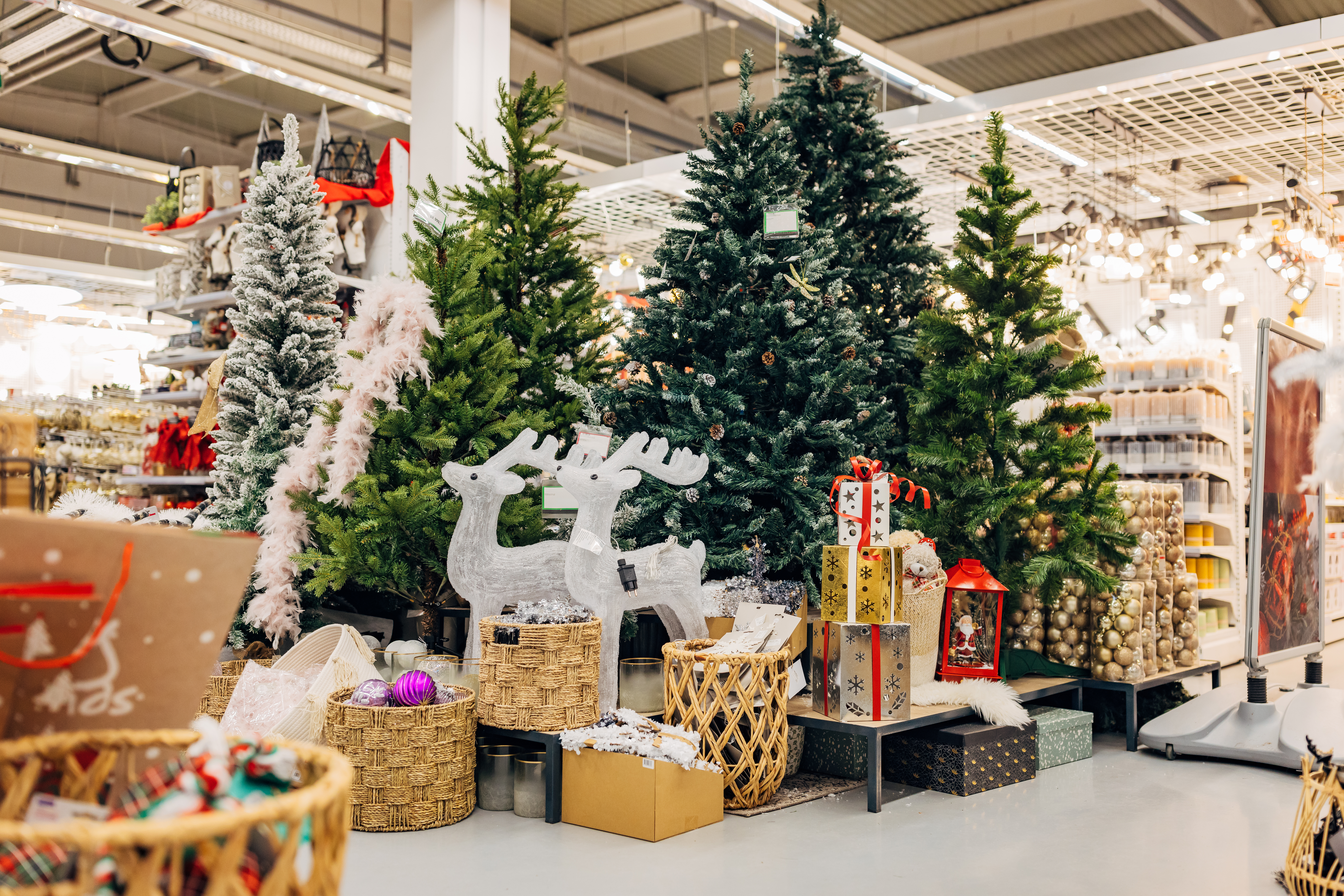 Може би сте чували термина Коледа през юли но това