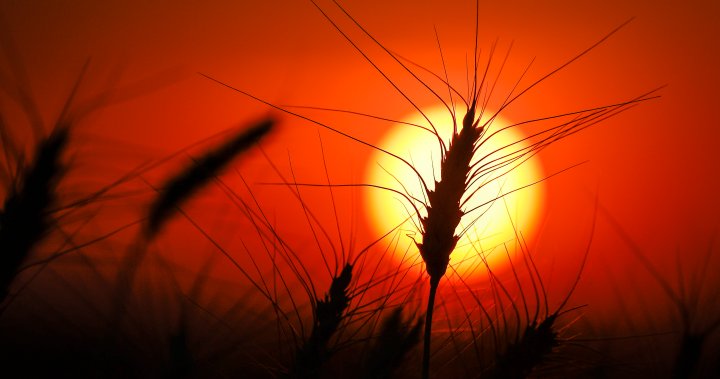 Екстремните метеорологични явления като пожари наводнения горещи вълни и суши