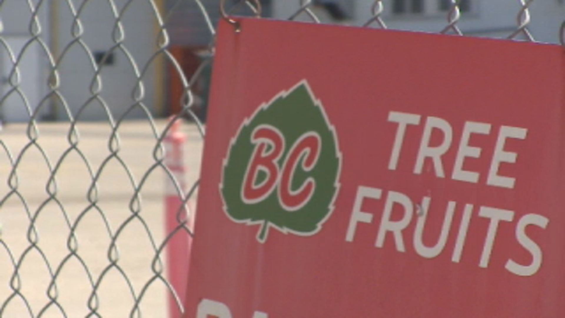 Това е тъжна реалност за членовете на BC Tree Fruits