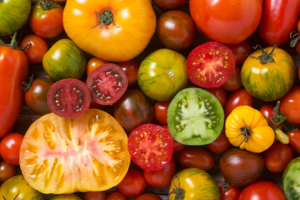 Close up of colourful tomatoes which are perfect in a caprese salad.