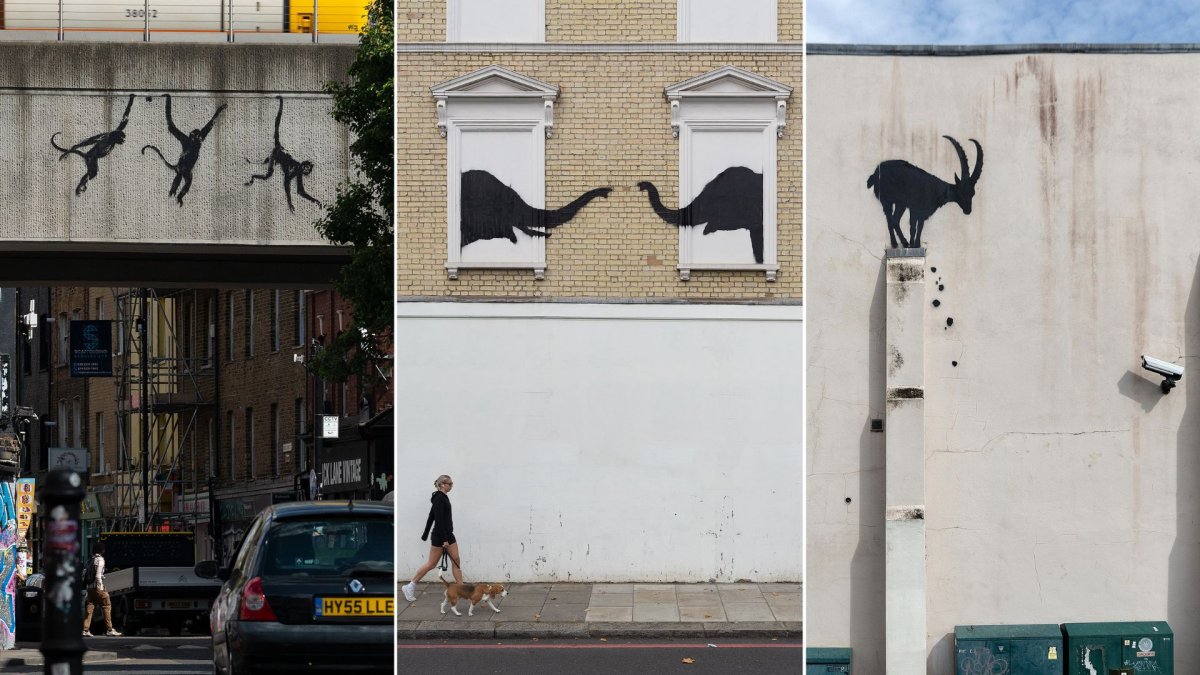 A tri-split image. On the left, is a black mural of three monkeys on the side of overhanging train tracks. In the middle is a mural of two elephants reaching their trunks to each other from two boarded windows. On the right is a black mural of a goat perched high on a wall, facing a real CCTV camera.