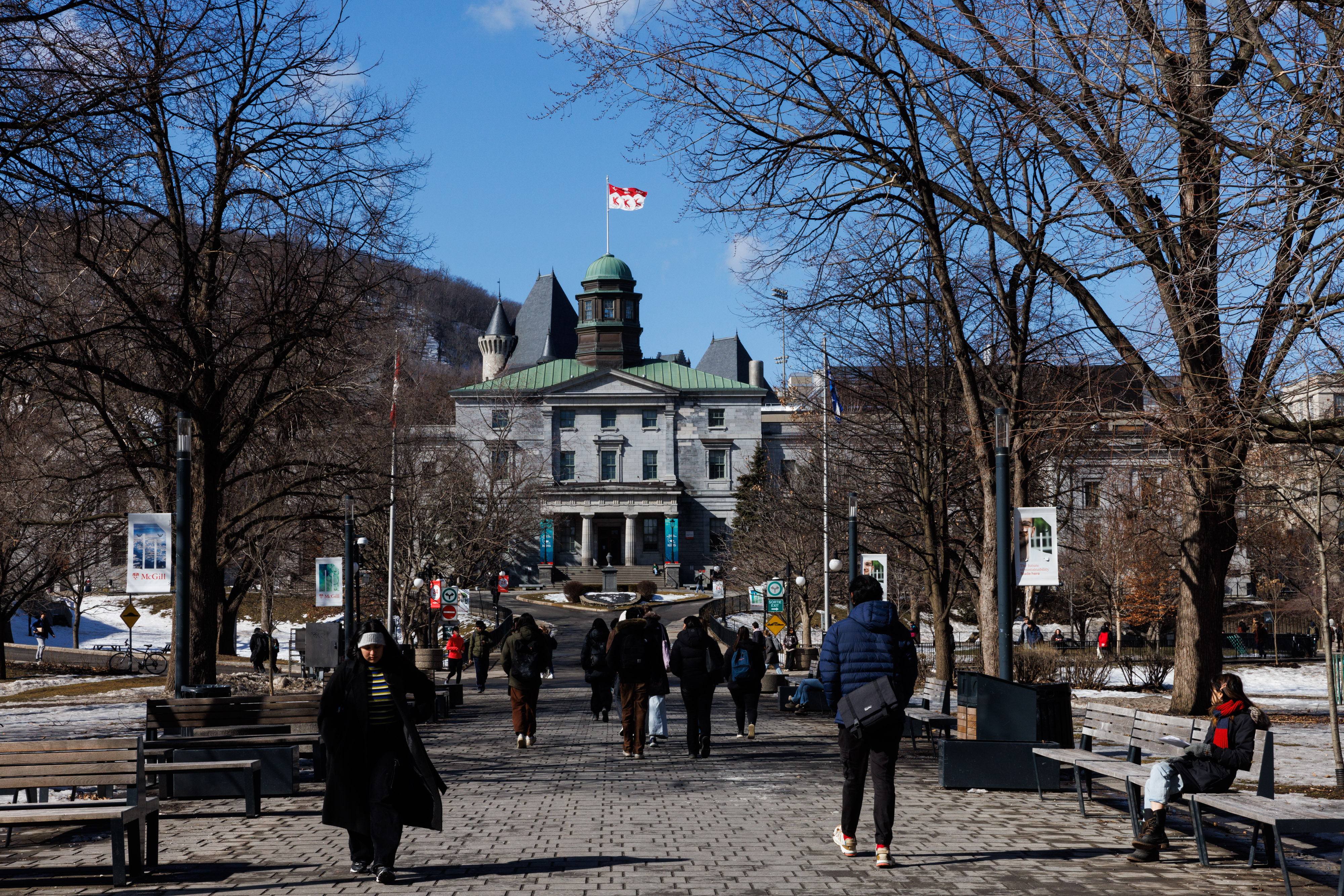 International student enrolment down 45 per cent, Universities Canada says