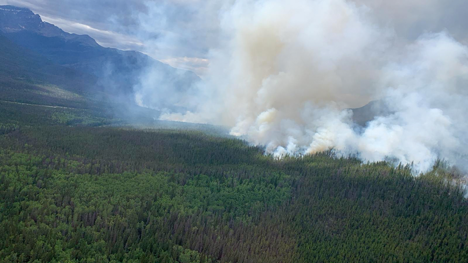 Jasper residents can tour town via bus ‘in the next few days’: Alberta government