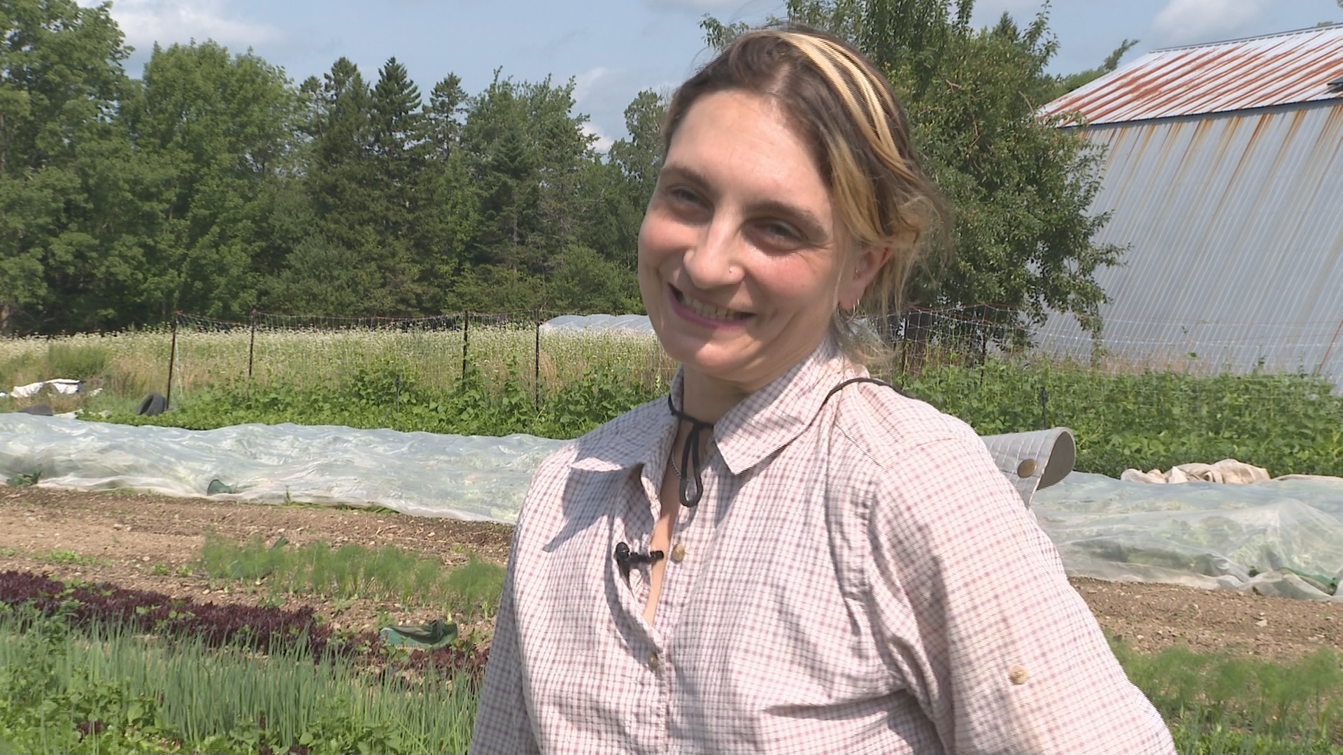 N.S. farmers say constant ‘intense’ weather is impacting their livelihood