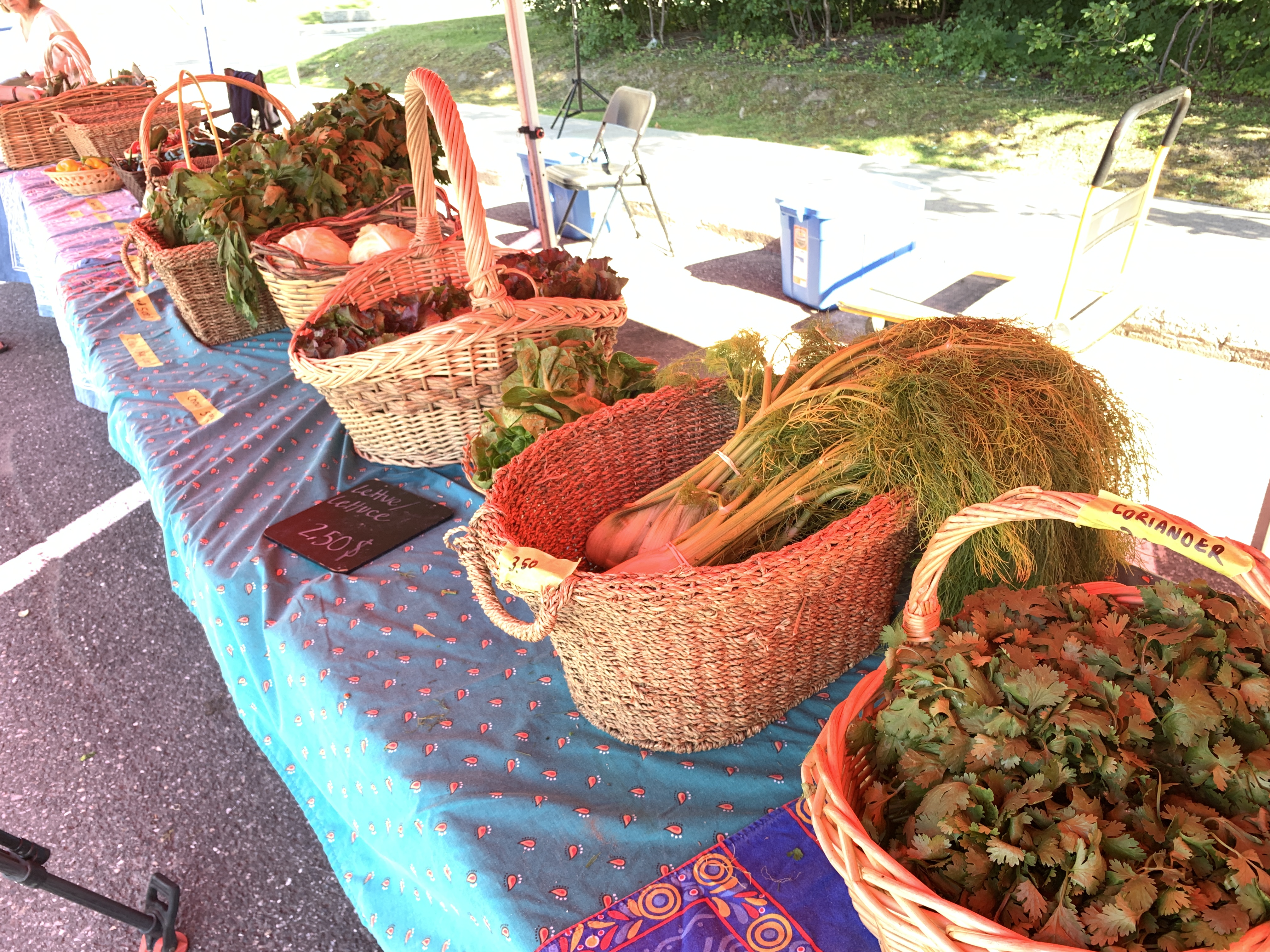 Fresh fruits and veggies can be expensive. How a pop-up market aims to fix that