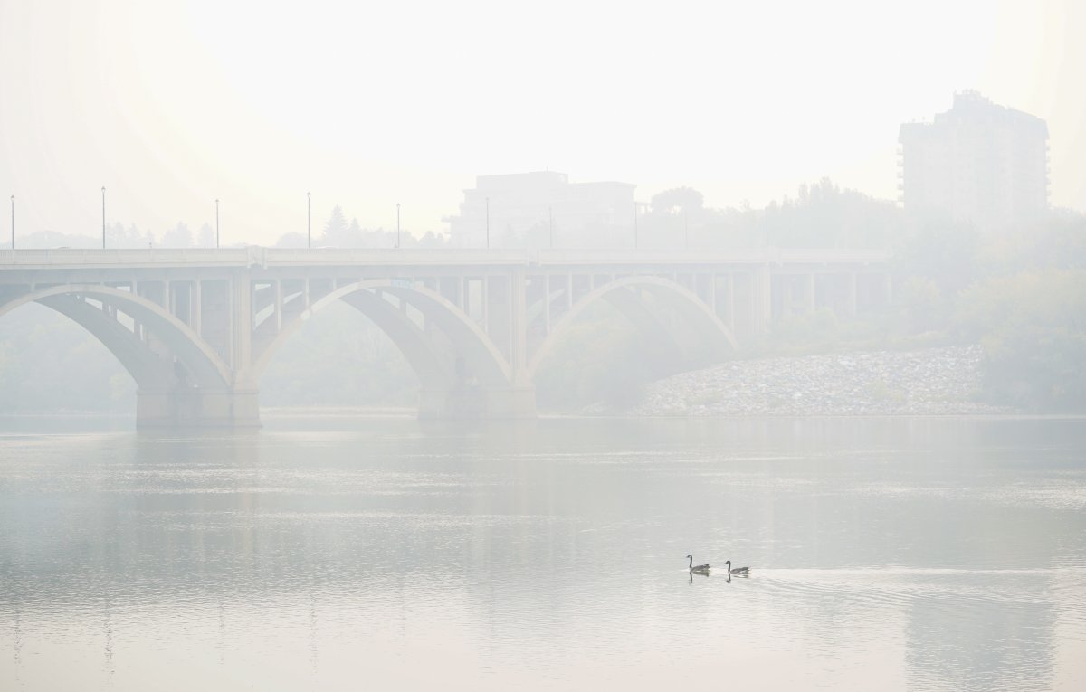 Two Canada geese swim as the South Saskatchewan River is enveloped by forest fire smoke in Saskatoon, Sask., on Sunday, September 3, 2023