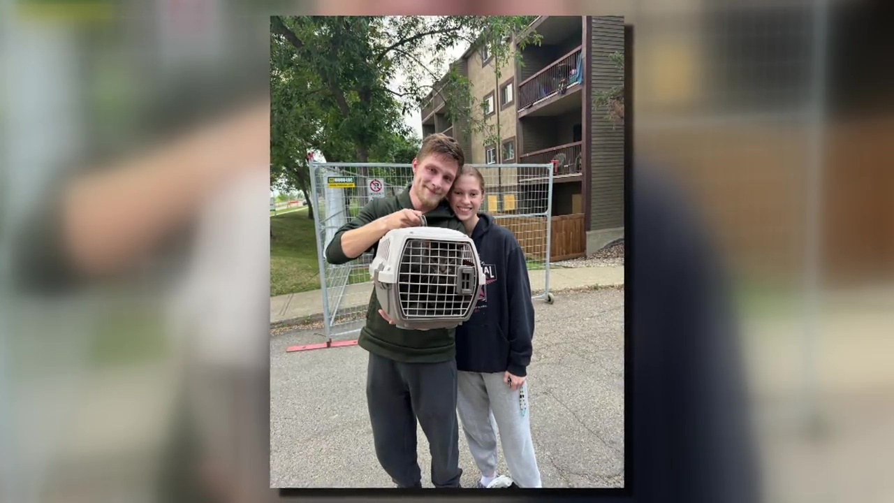 Котка за която се смяташе че е била в капан