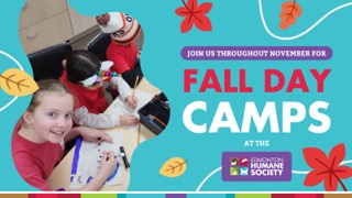 Edmonton Humane Society Fall Day Camp - image