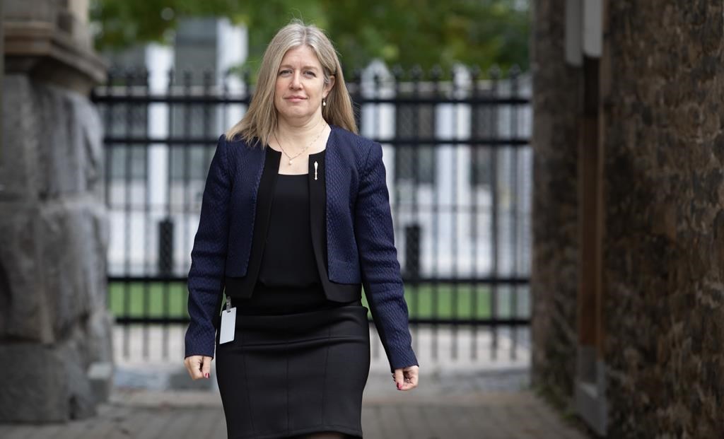 Либералите от Ню Брънзуик обещават да предоставят безплатна или евтина