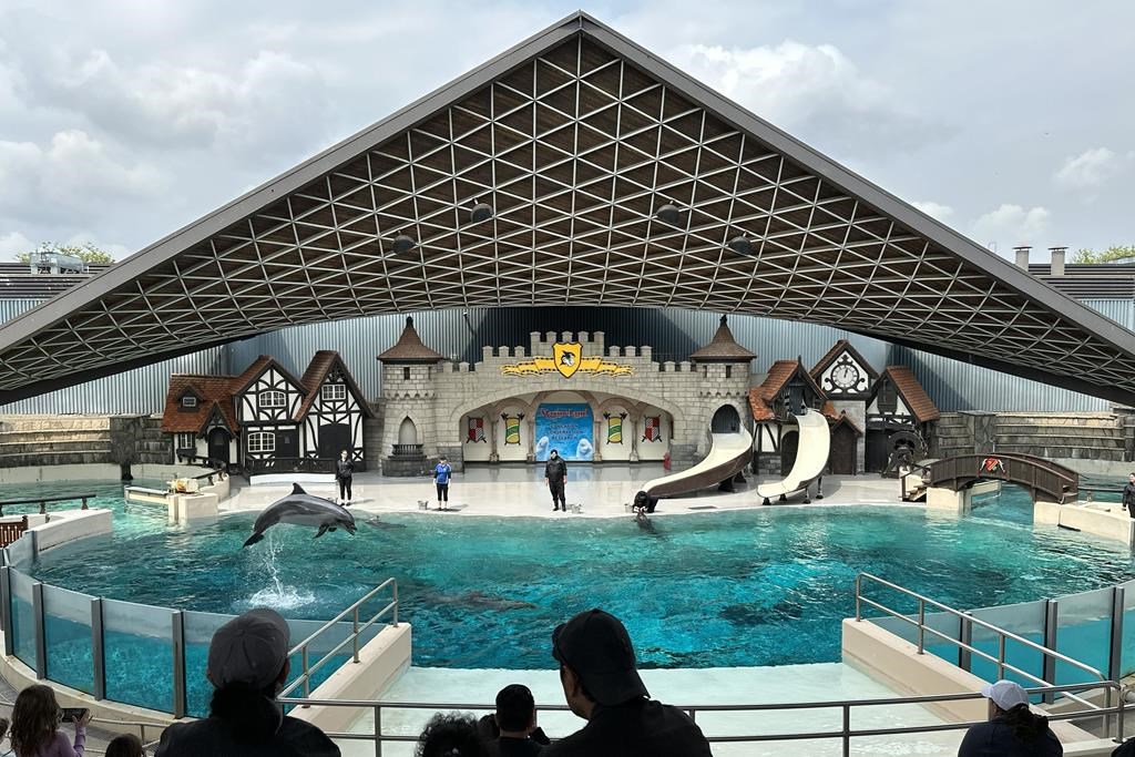 Собственикът на Marineland Мари Холер почина Мари Холер пое туристическата атракция