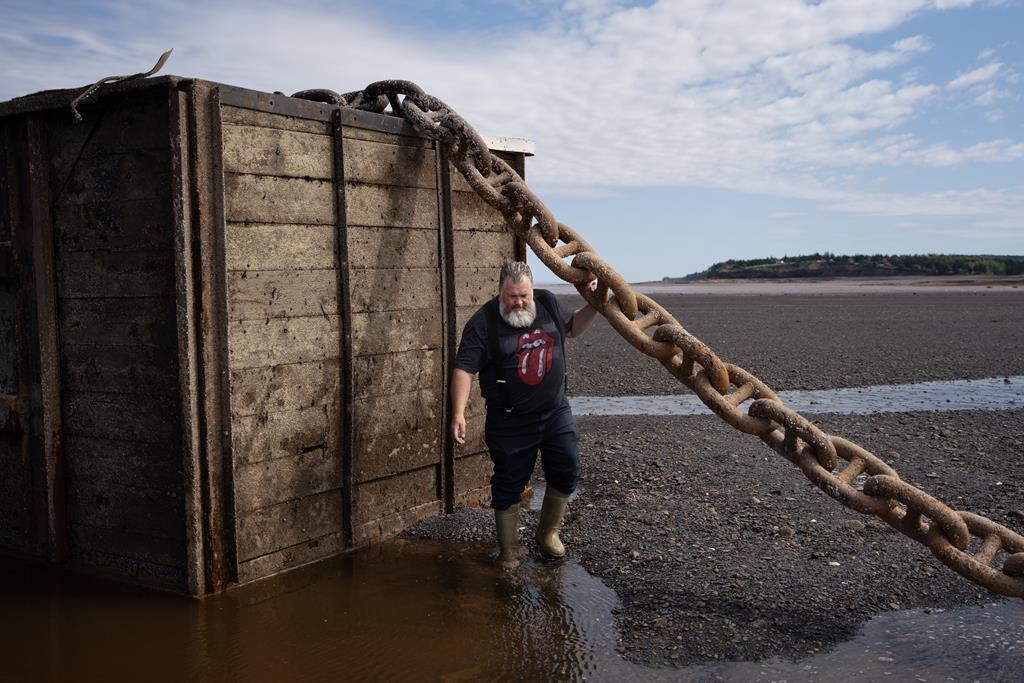 Darren Porter, a local fisherman and marine conservationist, walks around one of four shipping containers chained to the ocean floor at low tide in the Bay of Fundy off the coast of Walton, N.S. on Tuesday, September 10, 2024. The massive refuse was left behind in the Minas Basin when Occurrent Power, formerly BigMoon Power, filed for bankruptcy after failing to harness the powerful tides of the Bay of Fundy to generate electricity. THE CANADIAN PRESS/Darren Calabrese.