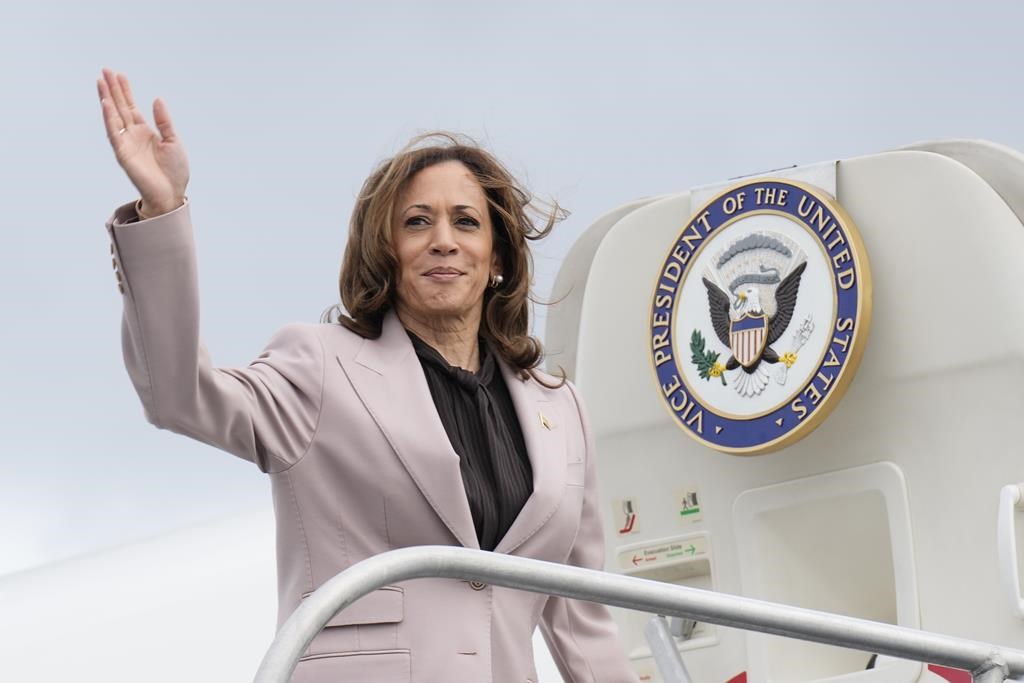 Russia going all-out to target Harris with online disinformation: Microsoft