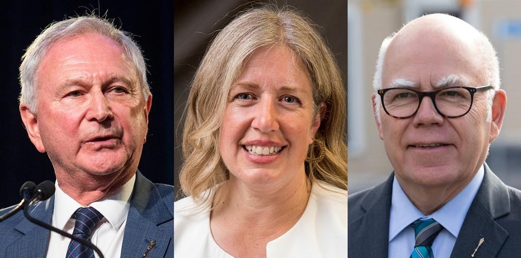 N.B. election: Profiles of the major party leaders ahead of Oct. 21 vote