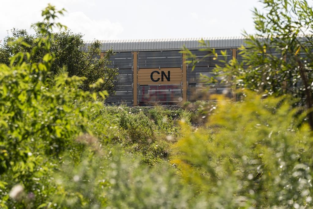 The CN MacMillan Yard is shown in Vaughan, Ont. on Thursday, Aug. 22, 2024. THE CANADIAN PRESS/Paige Taylor White.