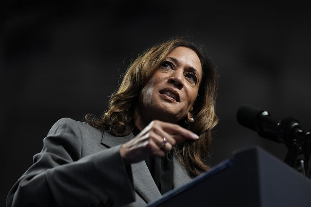 Democratic presidential nominee Vice President Kamala Harris speaks during a rally, Friday, Sept. 20, 2024, in Madison, Wis. (AP Photo/Charlie Neibergall).