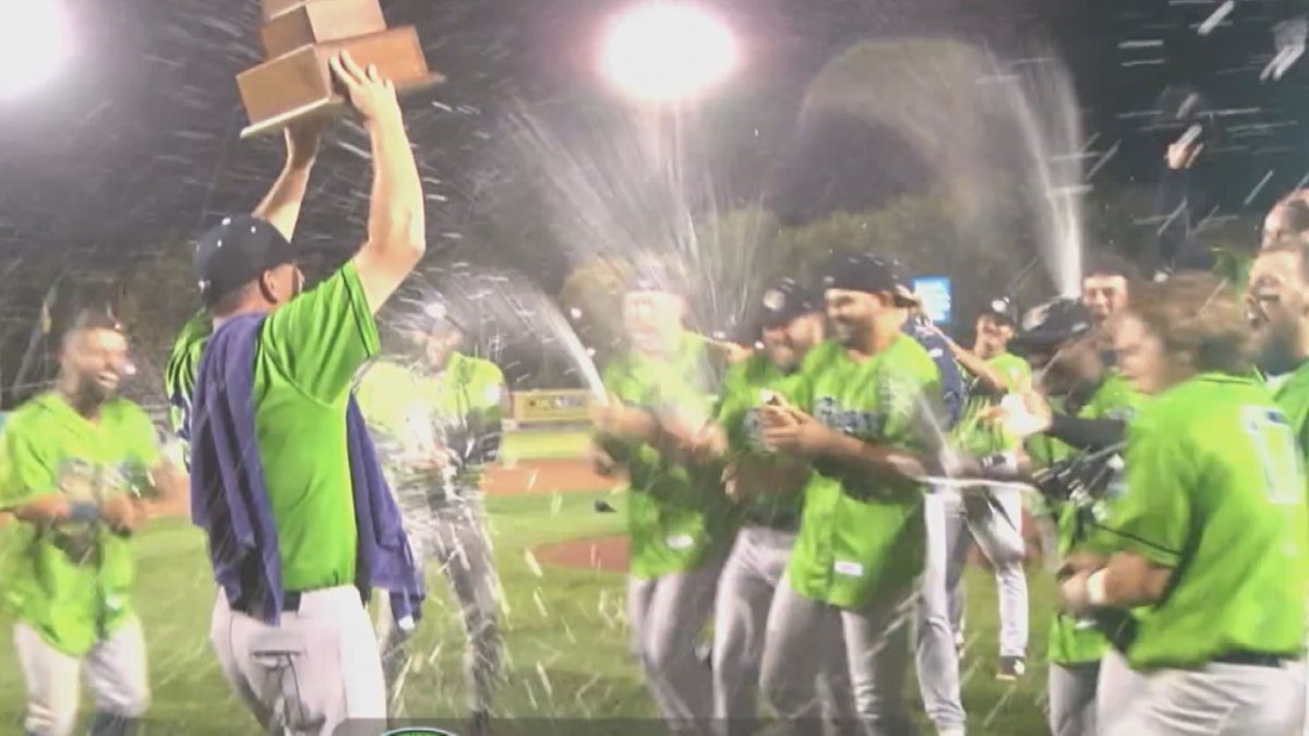 The Kane County Cougars celebrate their first American Association championship after sweeping the Goldeyes.