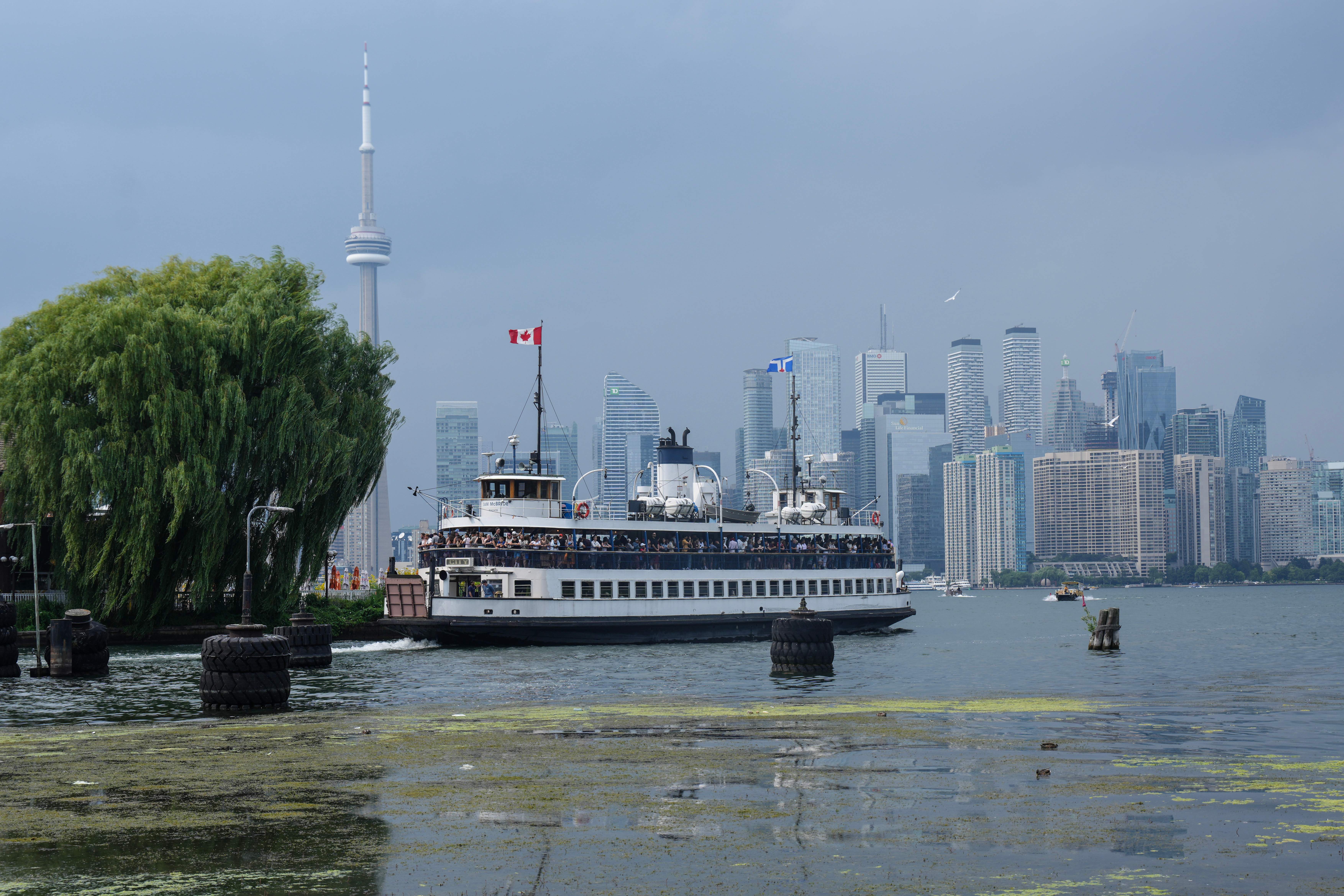 Toronto Offers Free Island Ferry Tickets to Celebrate 'Waterfront Victory'