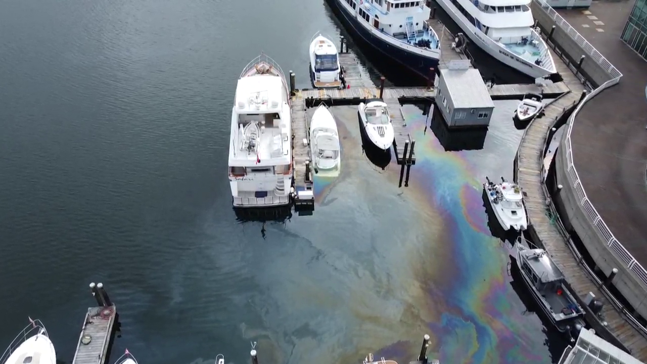 Drone video shows 40-foot pleasure craft sinking off False Creek dock