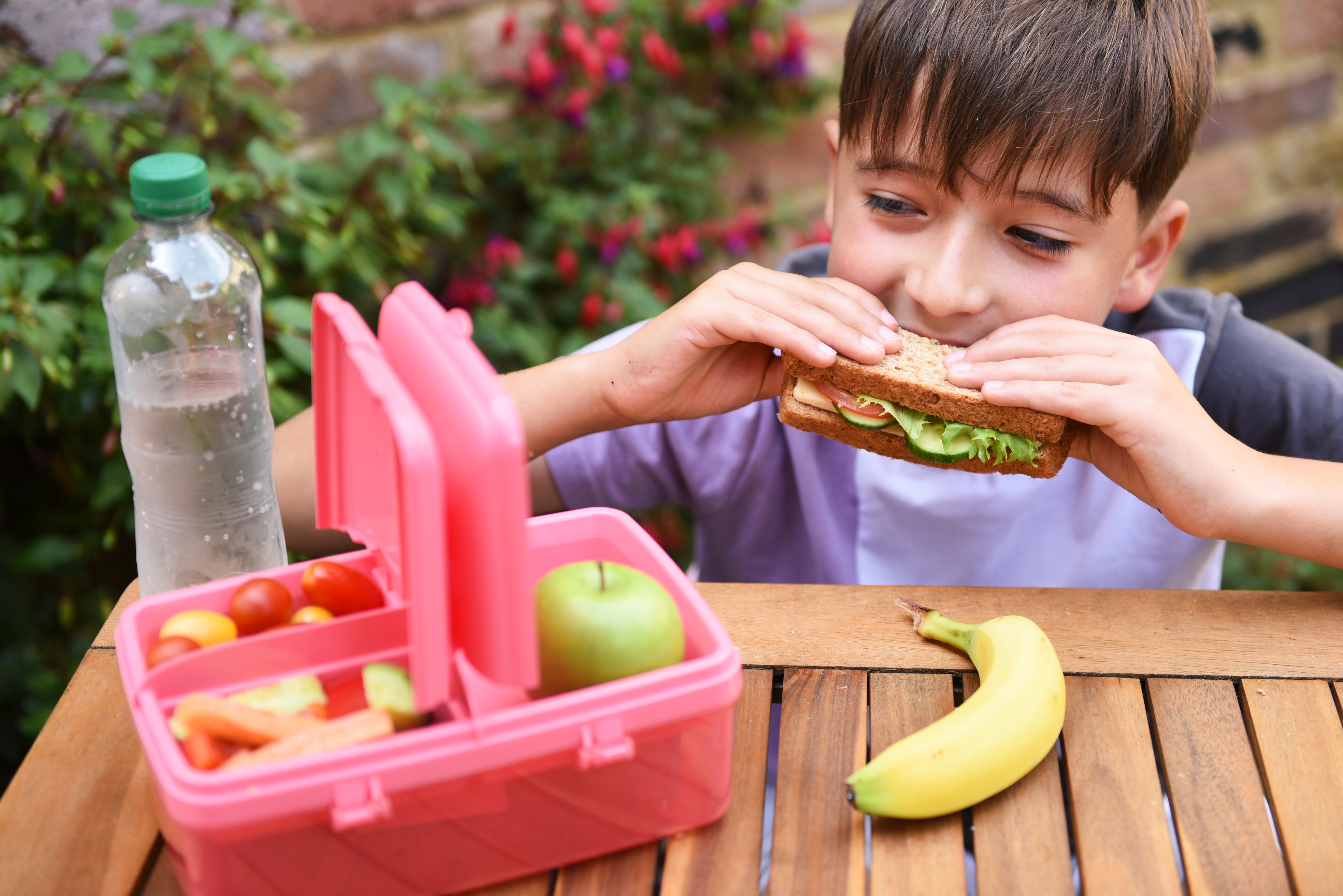 Back-to-school lunches: Dietitian tips for avoiding ultra-processed foods