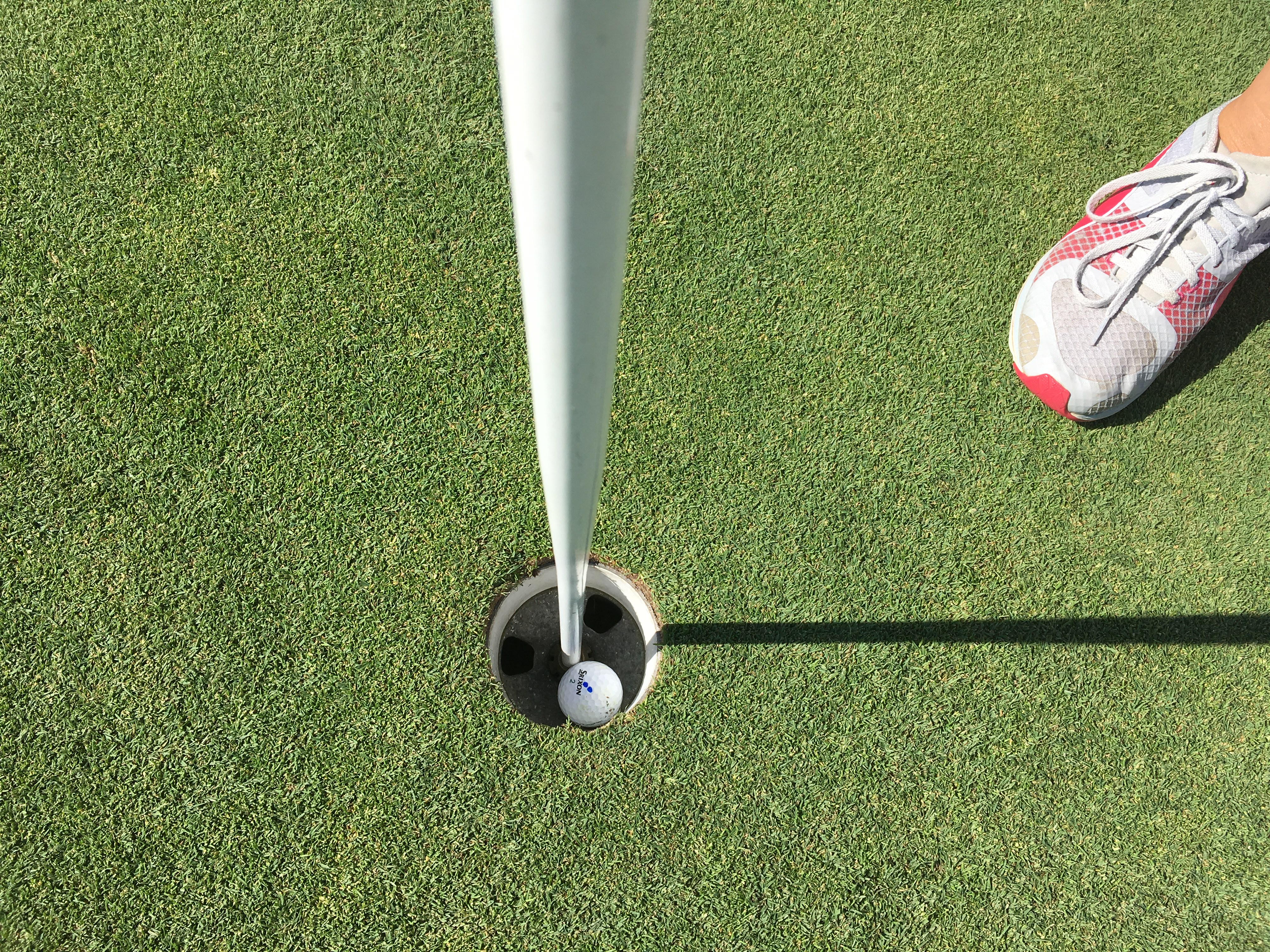 Получаването Spectacular Жената от Едмънтън получи не един но два