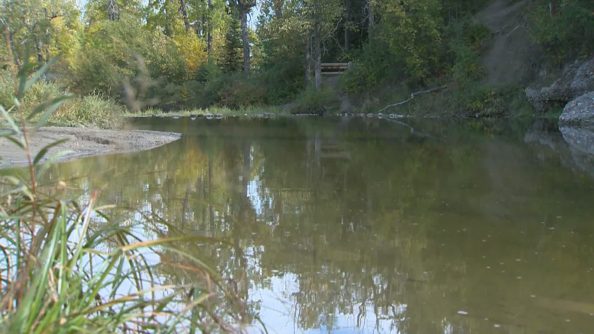 Calgary police searching for sexual assault suspect after attack at
swimming hole