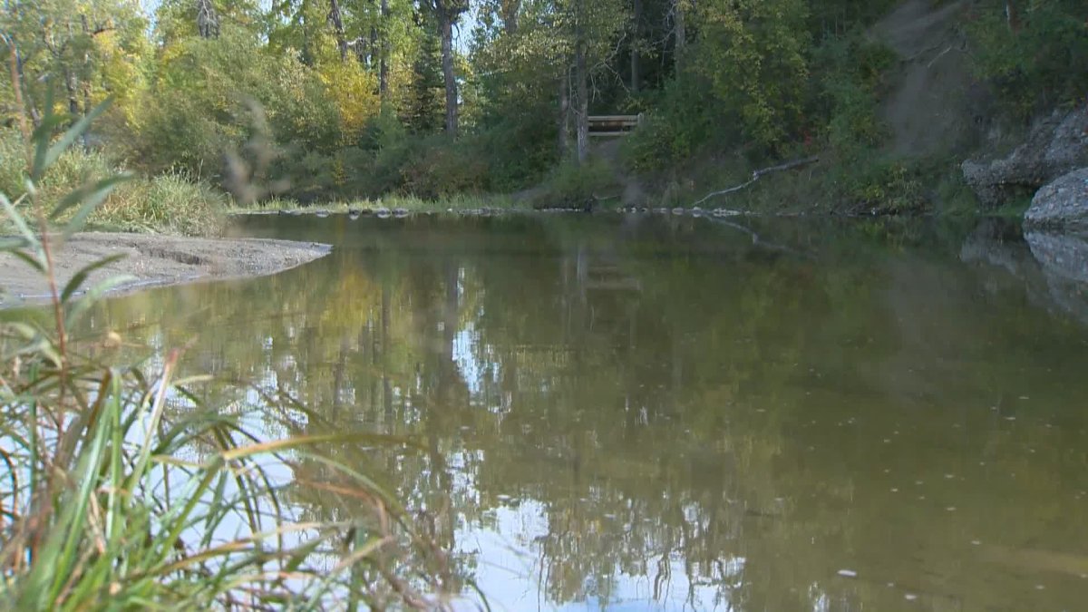 Still water at a small creek lined by large trees and a rock formation.