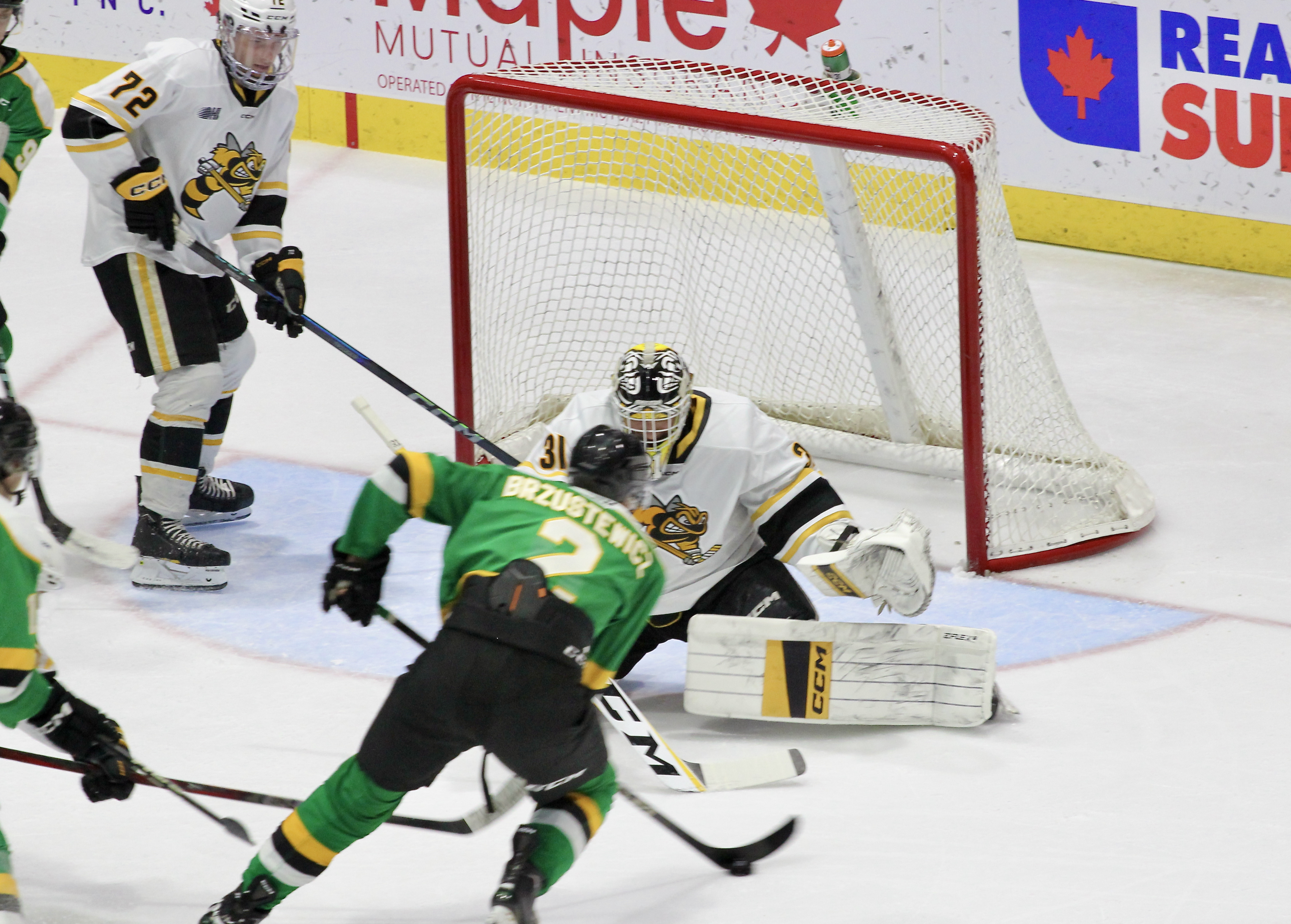 London Knights and Sarnia Sting split home-and-home series to finish pre-season