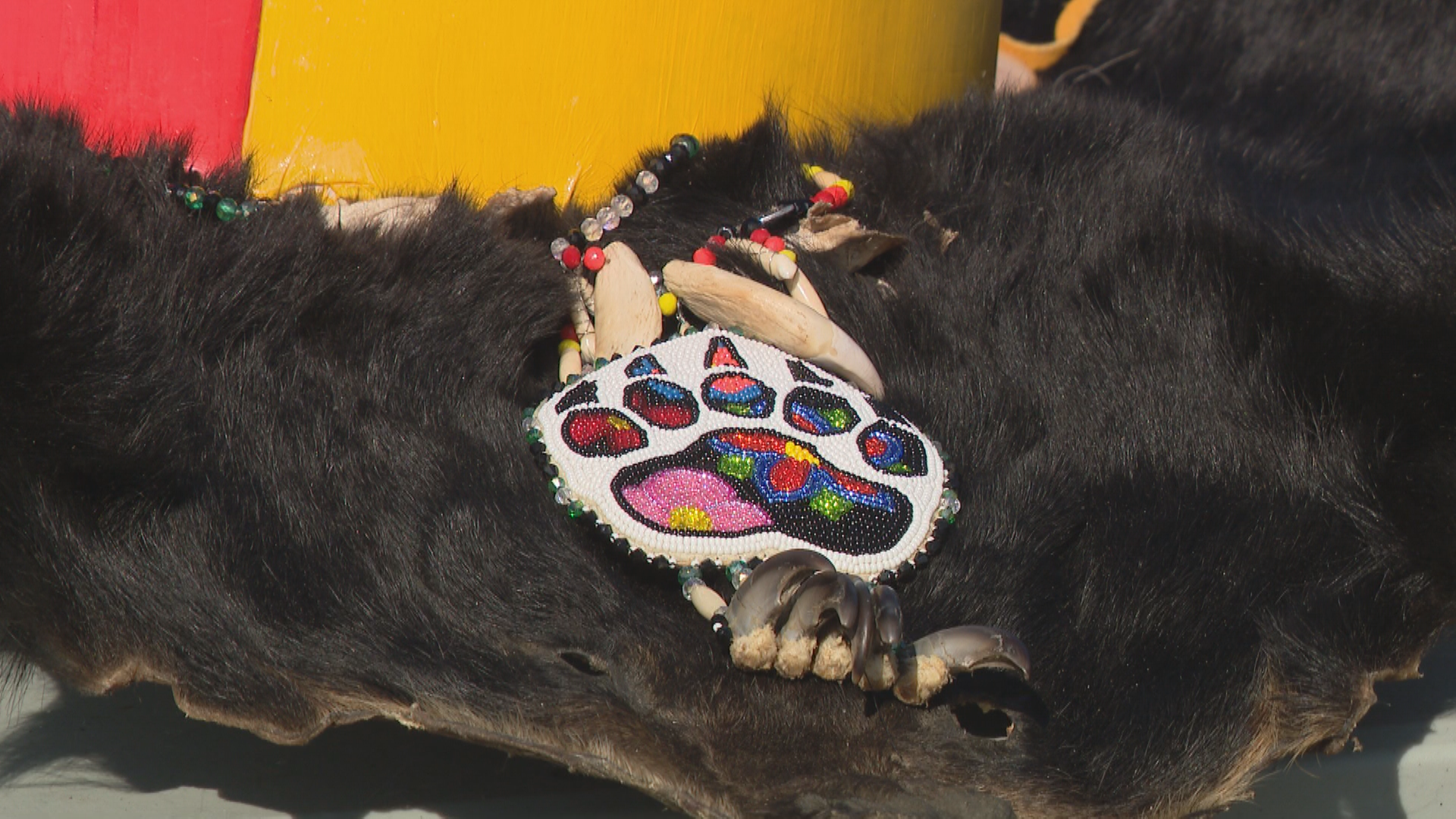 Beading on a fur pelt from Métis Cultural Days.