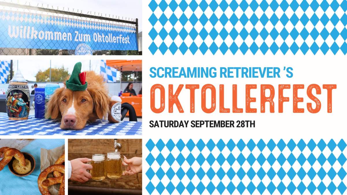 Oktollerfest - image