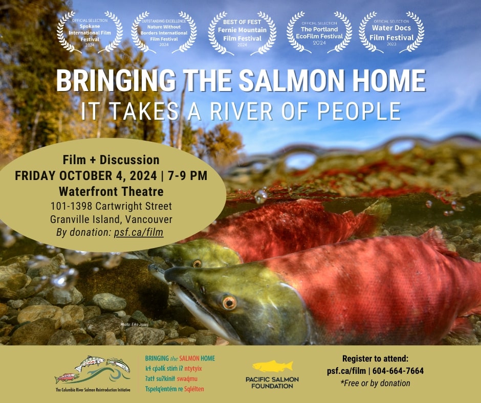 Bringing the Salmon Home – Special Film & Discussion on Friday, Oct 4 in Vancouver - image