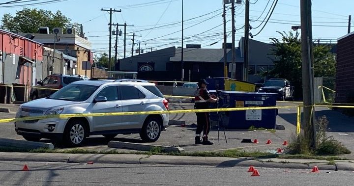 Полицията публикува нова информация за своето разследване което разглежда смъртта