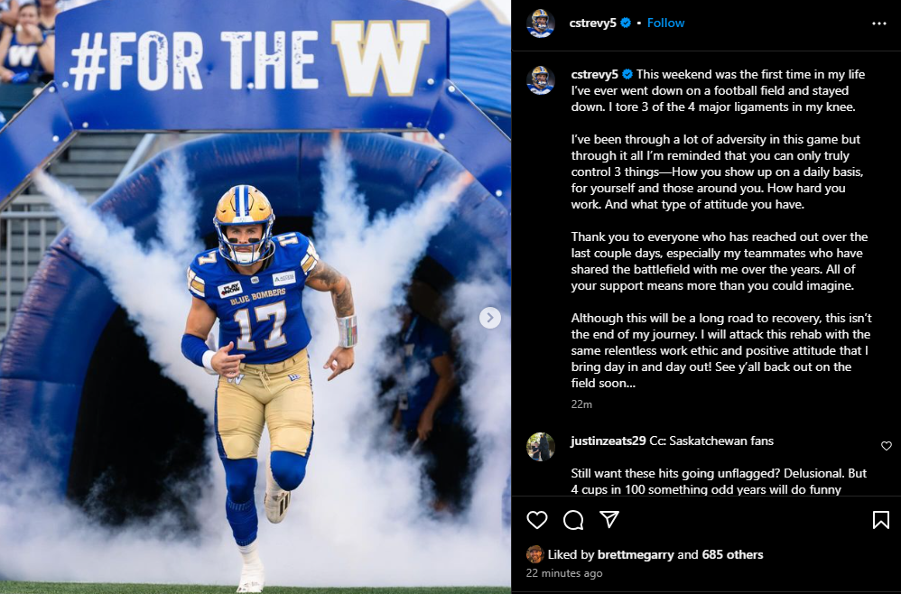 Winnipeg Blue Bombers QB Chris Streveler has torn ligaments - image