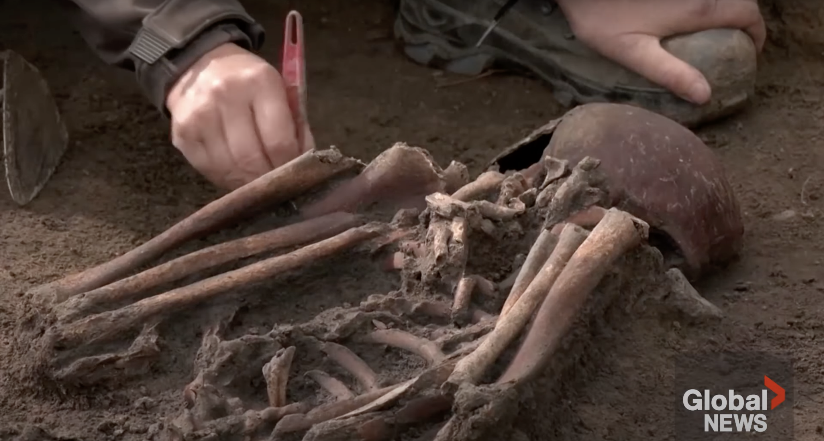 50 Viking Age skeletons unearthed by Danish archaeologists