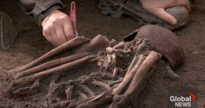 50 Viking Age skeletons unearthed by Danish archaeologists – National