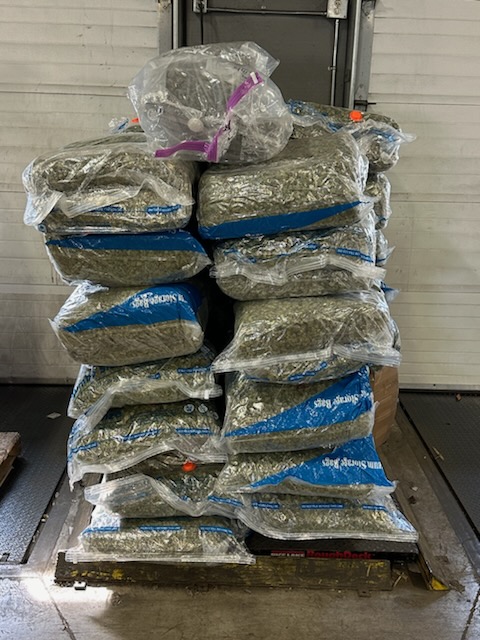 Manitoba RCMP say they seized 600 kilograms of cannabis.