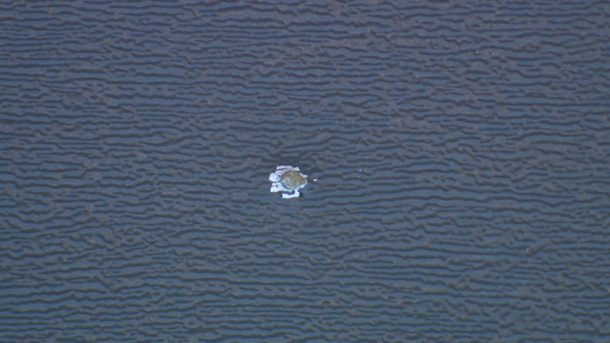 What appears to be a bullet hole in a house near King Wynd SW and King Gate SW in the Keswick neighbourhood of southwest Edmonton, on Monday, September 23, 2024.