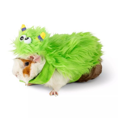 Thrills & Chills Monster Small Pet Costume