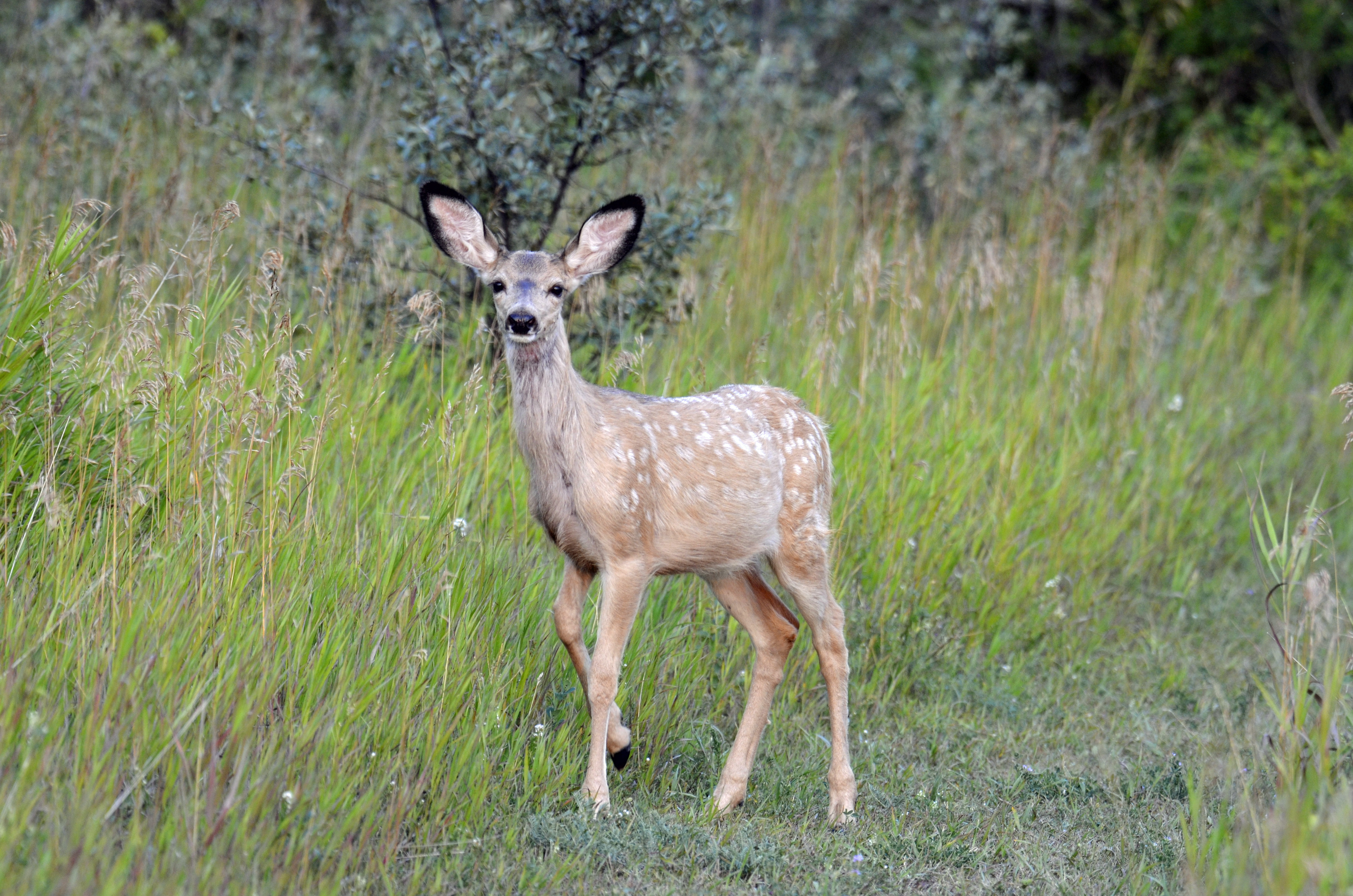 Your Saskatchewan photo of the day: September 2024