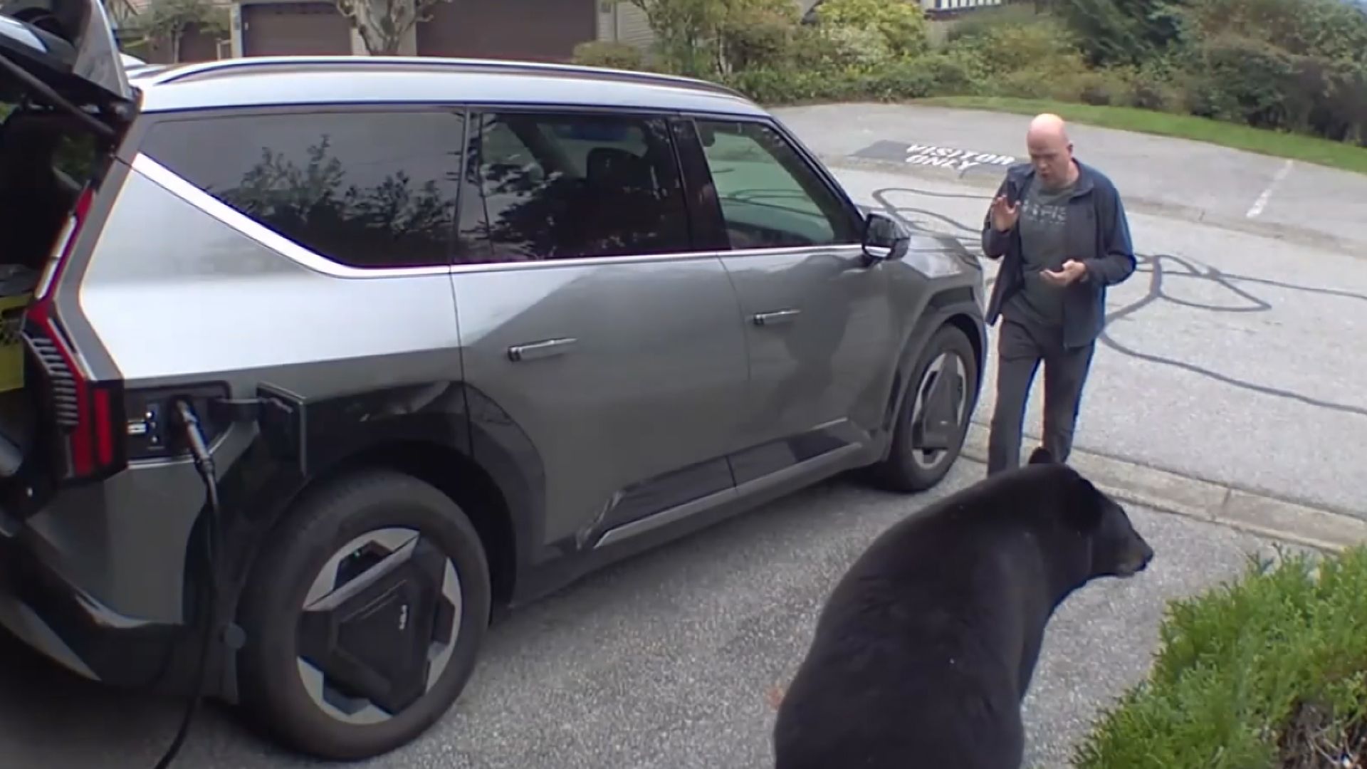 Bear surprises B.C. resident, chases him out of his garage