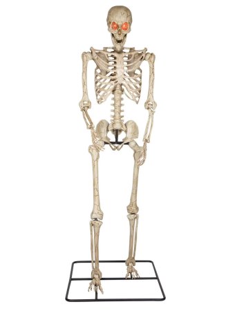 Walmart 10-foot skeleton