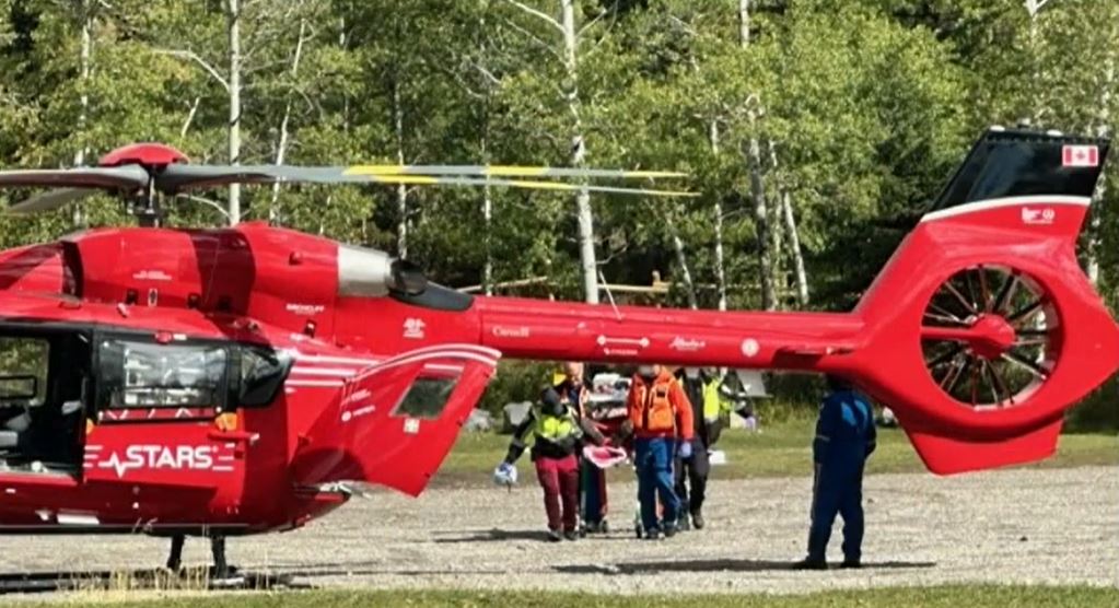 Man in serious condition after bear attack near Alberta-B.C. border